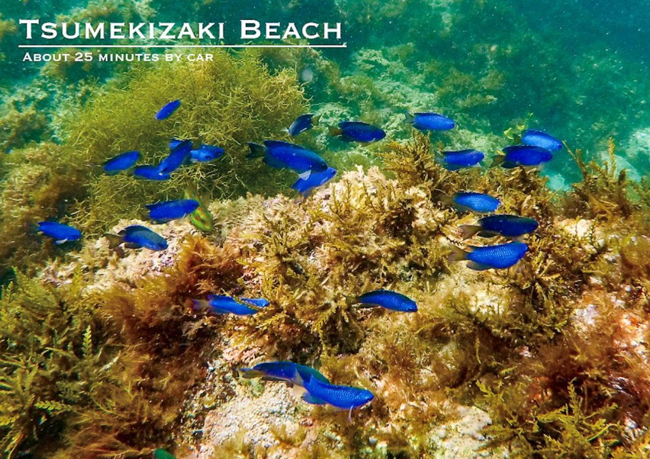 Вілла Shobuzawa Log Кавадзу Екстер'єр фото